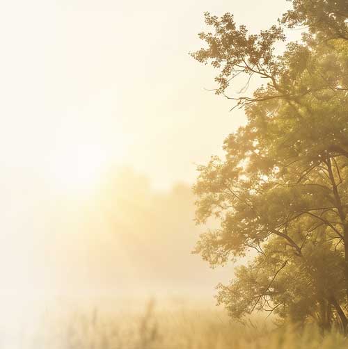 Contact Griffin Mental Health & Wellness