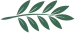 olive_leaf