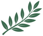 s4_olive_branch